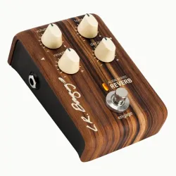 LR BAGGS Align Series Reverb 