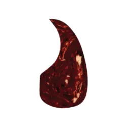 ACOUSTIC - SMALL SHELL 