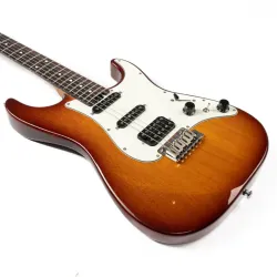 EART Electric Guitar DMX-9 Humbuker Pickups Tremolo Guitar