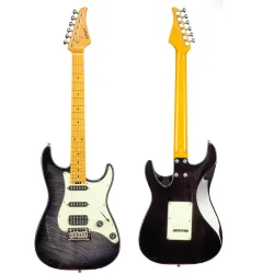 Eart Guitars NK-C3 Model Modern Roasted Mahogany Modern Electric Guitar